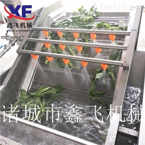 蔬菜漂燙機 蔬菜預(yù)煮機 蔬菜殺青機